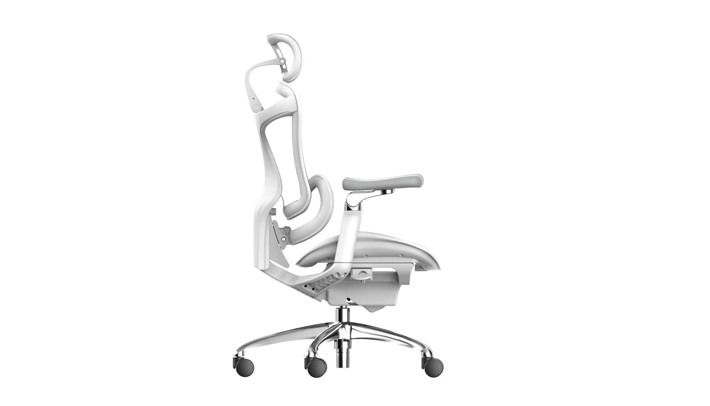 Sihoo DORO-C300 Pro Ergonomic Office Chair