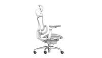 Sihoo DORO-C300 Pro (Second Gen)Ergonomic Office Chair