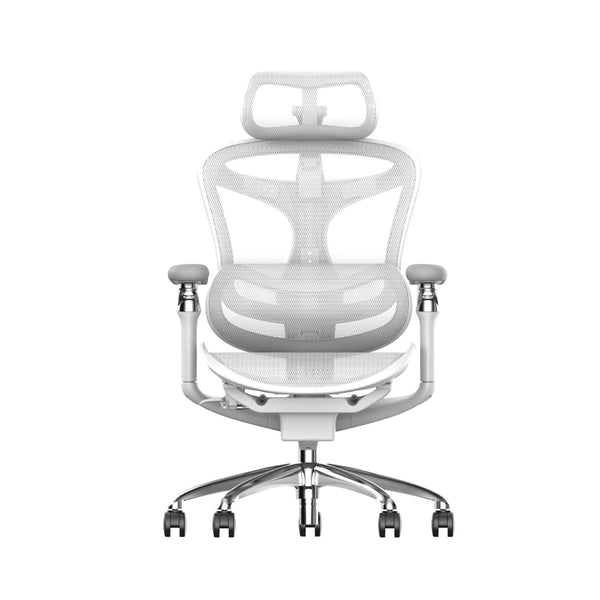 Office Chairs for Back Pain