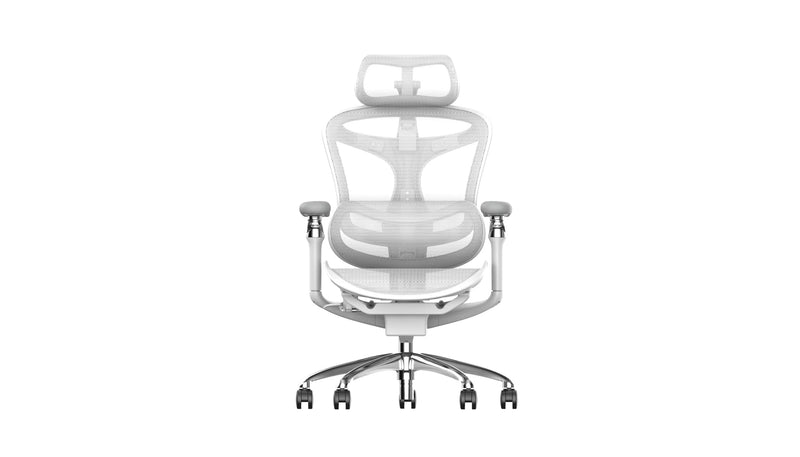 Sihoo DORO-C300 Pro Ergonomic Office Chair (Gen 1)