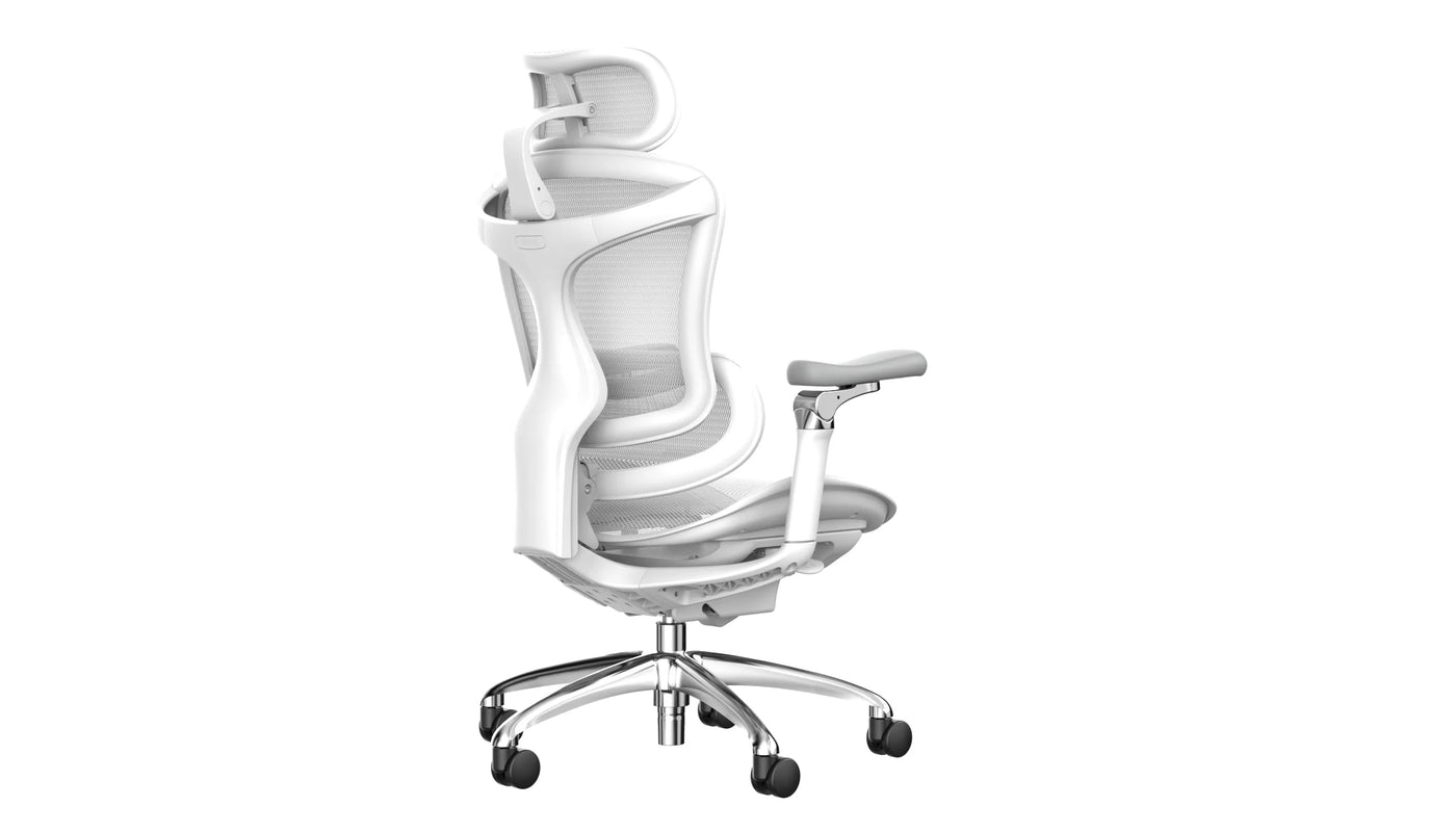 Sihoo DORO-C300 Pro (Second Gen)Ergonomic Office Chair