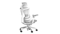 Sihoo DORO-C300 Pro (Second Gen)Ergonomic Office Chair