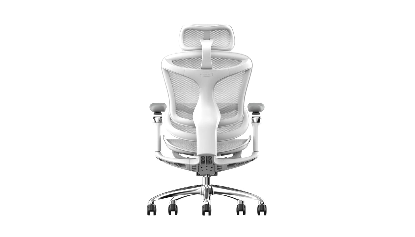 Sihoo DORO-C300 Pro Ergonomic Office Chair