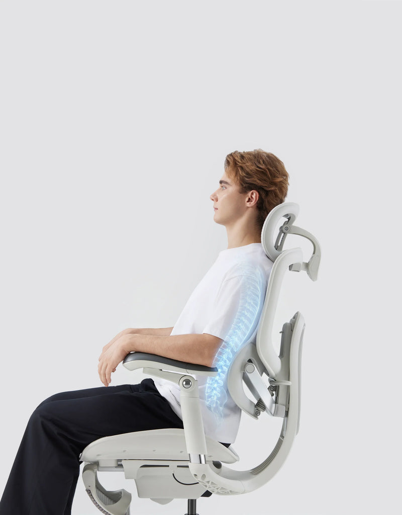 Domino sacral-lumbar support 2.0 highlighted on the backrest