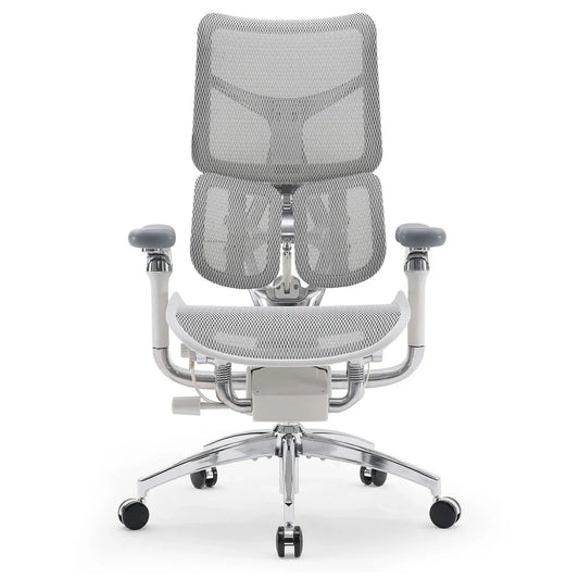 Sihoo DORO-S300 Ergonomic Office Chair