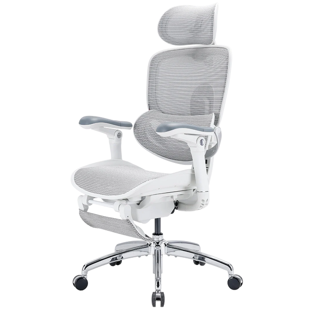 Sihoo DORO-C300 Pro V2 Ergonomic Office Chair