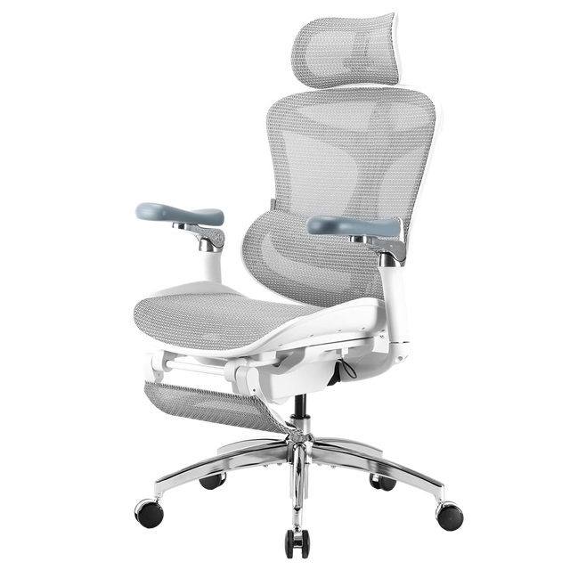 Sihoo DORO-C300 Pro Ergonomic Office Chair (Gen 1)
