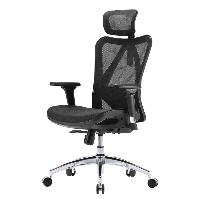 Sihoo M57 Ergonomic Office Chair