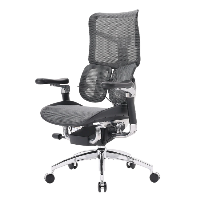 Sihoo DORO-S300 Ergonomic Office Chair