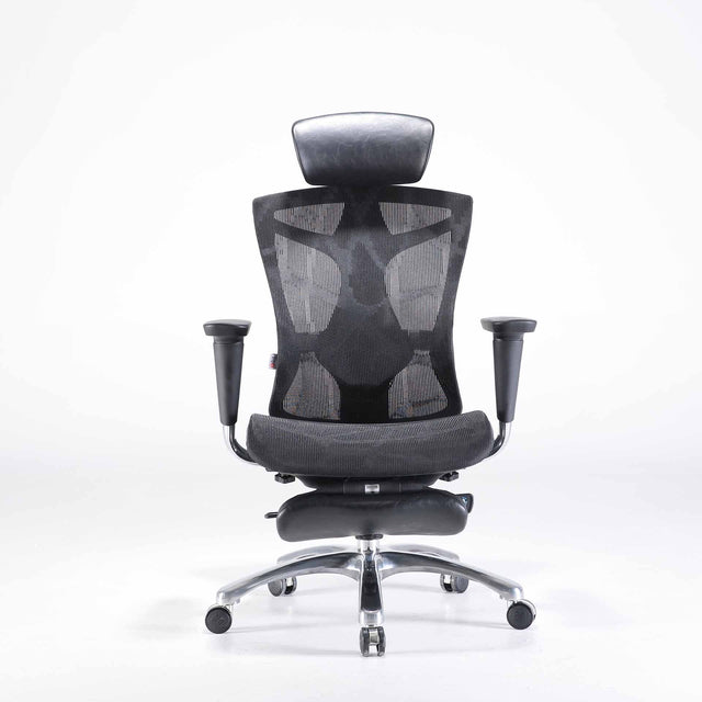 Sihoo V1 Ergonomic Office Chair