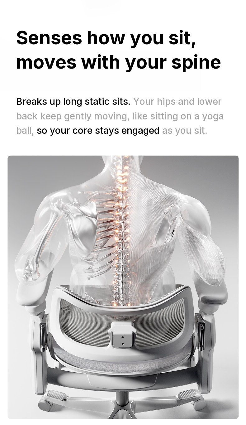 Translucent figure seated in the UE FLOW 660 Pro with the spine highlighted above the lumbar support